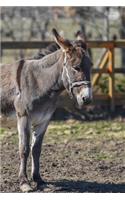 Donkey on a Farm in Bulgaria Journal: Take Notes, Write Down Memories in this 150 Page Lined Journal