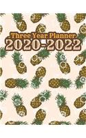 Three Year Planner 2020-2022