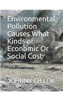 Environmental Pollution Causes What Kinds of Economic Or Social Cost