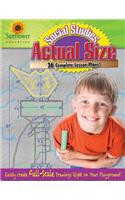 Actual Size-Social Studies: Easily Create Full-Scale Drawings Right on Your Playground!