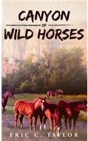 Canyon of Wild Horses