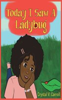 Today I Saw A Lady Bug