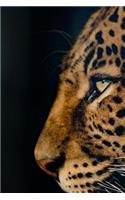 Leopard Notebook