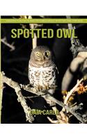 Spotted Owl
