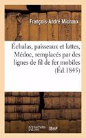 Échalas, Paisseaux Et Lattes, Médoc, Remplacés Par Des Lignes de Fil de Fer Mobiles