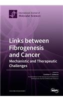 Links between Fibrogenesis and Cancer