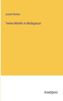 Twelve Months in Madagascar