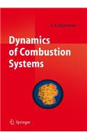 Dynamics of Combustion Systems