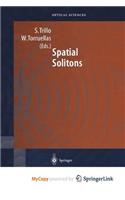 Spatial Solitons