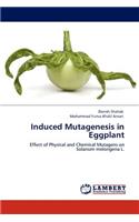 Induced Mutagenesis in Eggplant