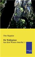 Waldspinne