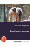 Pagai Island Macaque