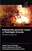 Katastrofa po&#380;arów lasów w Pedrógão Grande