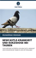 Newcastle-Krankheit Und Kokzidiose Bei Tauben