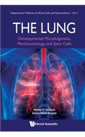 Lung, The: Developmental Morphogenesis, Mechanobiology, and Stem Cells