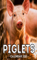 Piglets Calendar 2021