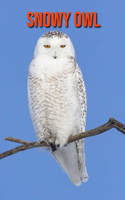 Snowy owl: Amazing Facts about Snowy owl