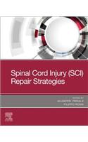 Spinal Cord Injury (Sci) Repair Strategies