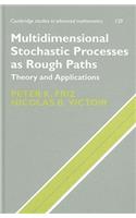 Multidimensional Stochastic Processes as Rough Paths