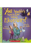 You Wouldn't Want to Live Without Electricity! (You Wouldn't Want to Live Without...)