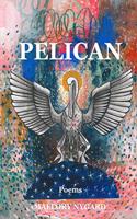 Pelican