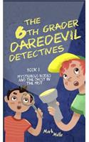 6th Grader Daredevil Detectives (Book 1): Mysterious Noises and the Ghost in the Mist