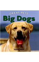 Big Dogs