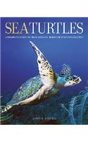 Sea Turtles