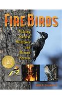 Fire Birds