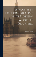 Month in London, Or, Some of Its Modern Wonders Described