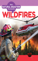 Wildfires