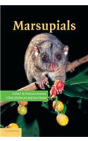 Marsupials