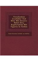 Verschiedene Zwiefalter Und K Fer Mit H Rnern