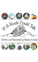 If A Rock Could Talk