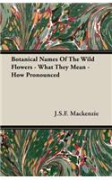 Botanical Names Of The Wild Flowers - What They Mean - How Pronounced