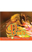 Bees