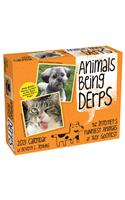 Animals Being Derps 2021 Day-to-Day Calendar
