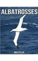 Albatrosses: Children Book of Fun Facts & Amazing Photos on Animals in Nature - A Wonderful Albatrosses Book for Kids aged 3-7