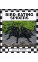 Bird-Eating Spiders