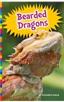 Bearded Dragons