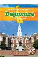 Delaware: The First State