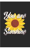 You are sunshine