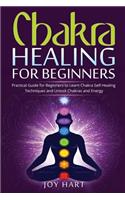 Chakra Healing for Beginners