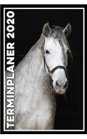 Terminplaner 2020: Jahresplaner von September 2019 bis Dezember 2020 mit Pferd - Planer mit 174 Seiten in weiß im Format A5 mit glänzendem Soft Cover.