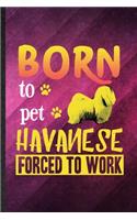 Born to Pet Havanese Forced to Work