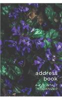 Address Book