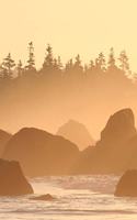 2020 Weekly Planner Misty Foggy Sunrise Beach Ocean Shoreline 134 Pages: 2020 Planners Calendars Organizers Datebooks Appointment Books Agendas