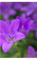 Spring Flowers Notebook