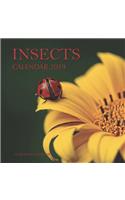 Insects Calendar 2019: 16 Month Calendar