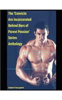 The 'convicts Are Incarcerated Behind Bars of Purest Passion' Series Anthology